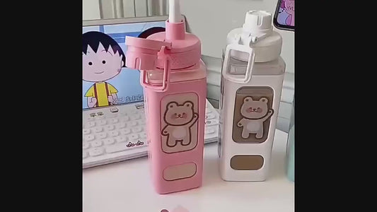 700ml Kawaii Water Bottle with Lid and Straw